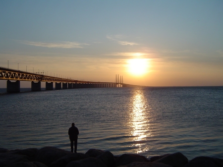 Fiske vid resundsbron